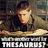 Thesaurus Pictures, Images and Photos