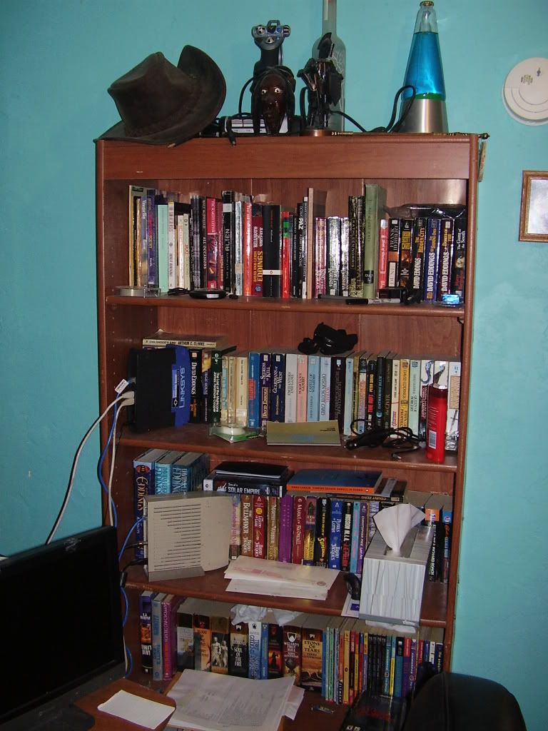 shelf2.jpg