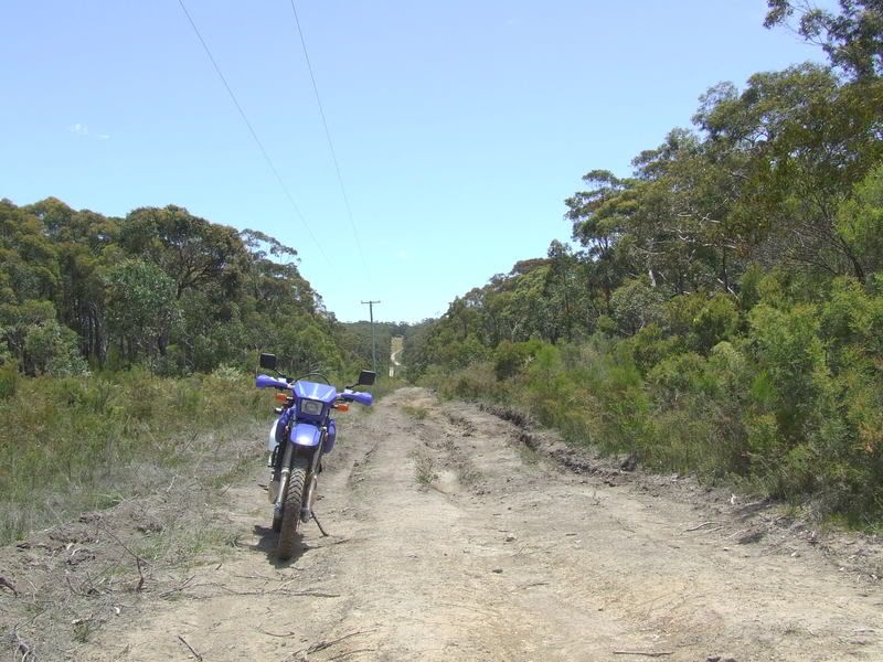 DSCF6298.jpg