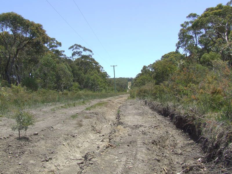 DSCF6299.jpg