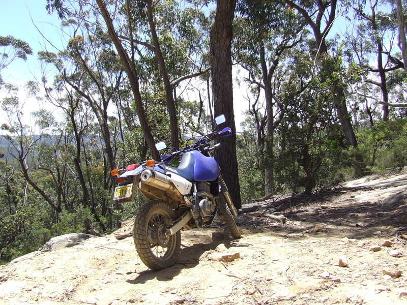 DSCF6308.jpg