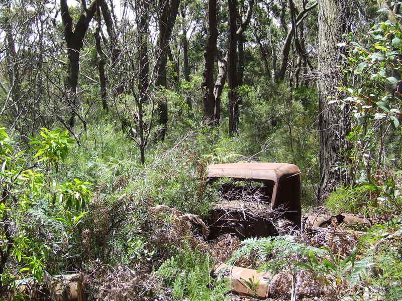 DSCF6313.jpg
