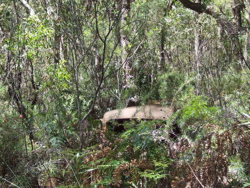 DSCF6315.jpg