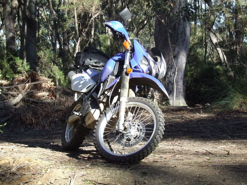 DSCF7822.jpg
