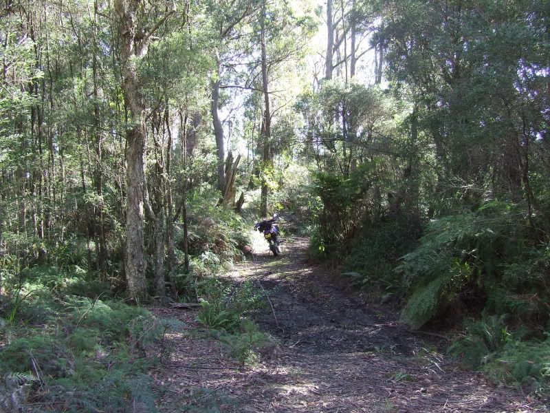 DSCF7829.jpg