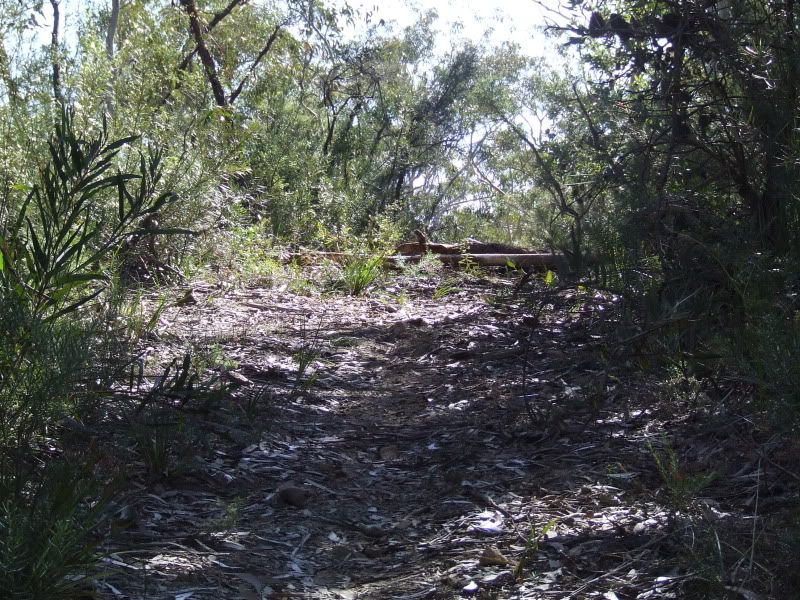 DSCF7840.jpg