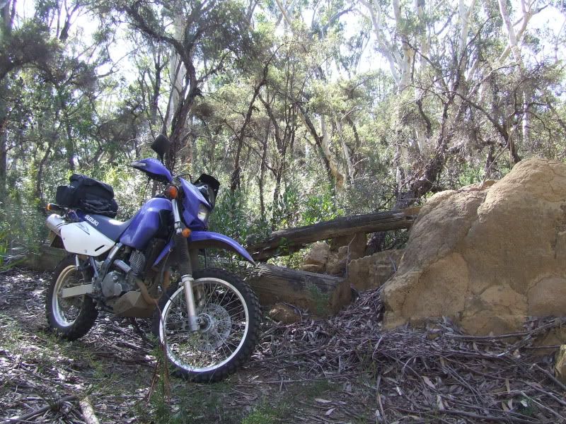 DSCF7844.jpg