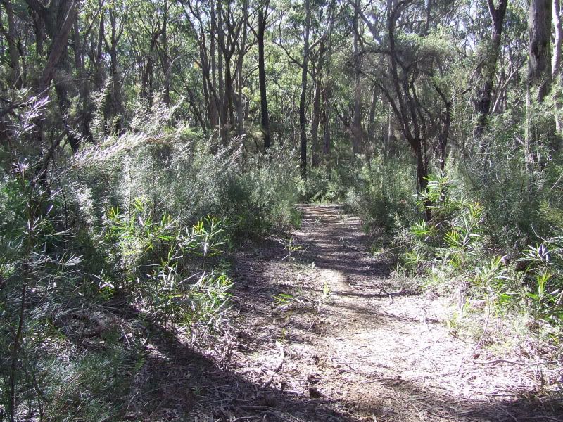 DSCF7851.jpg