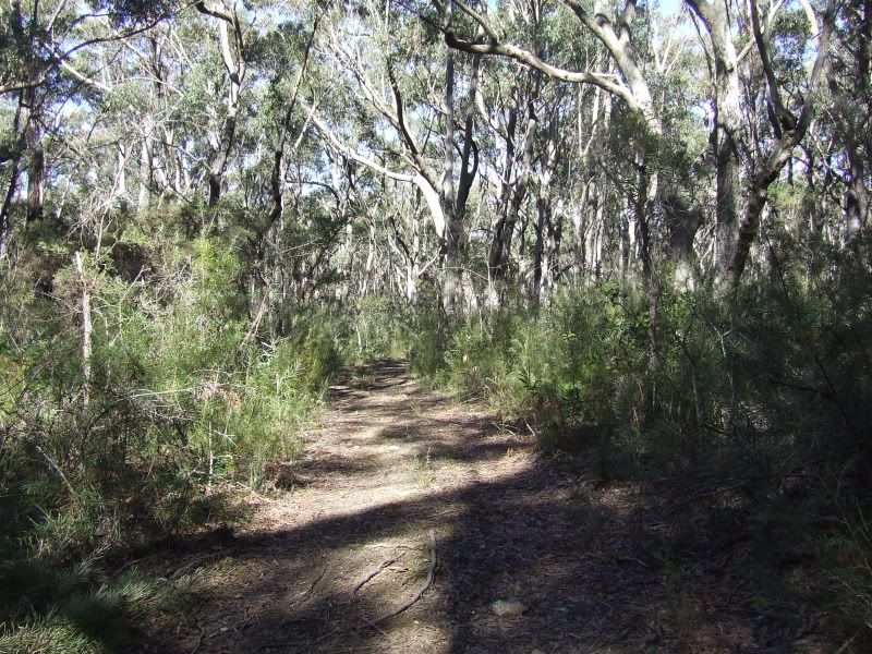 DSCF7853.jpg