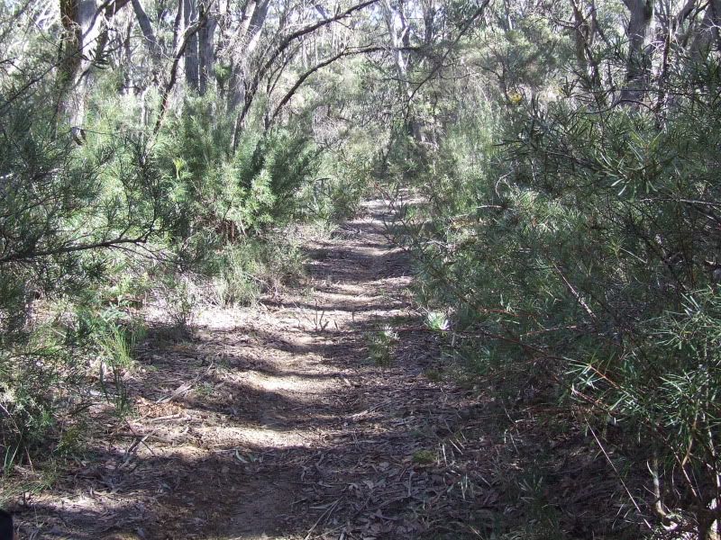 DSCF7855.jpg