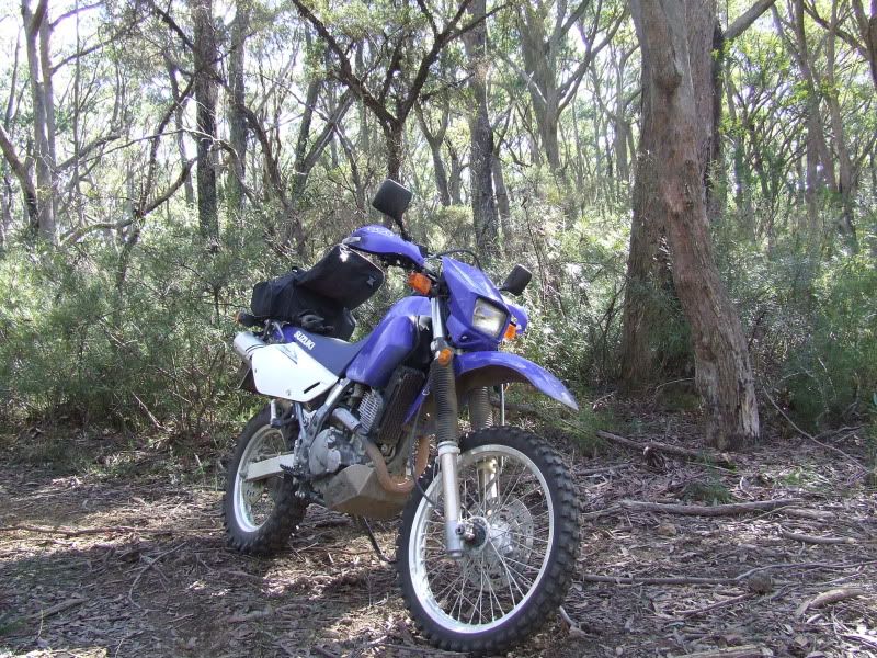 DSCF7857.jpg