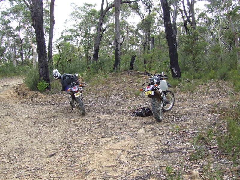 DSCF6512.jpg