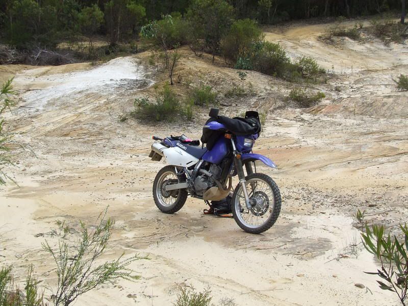DSCF6523.jpg