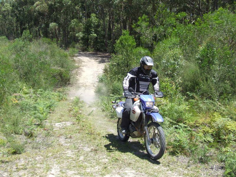 DSCF6545.jpg