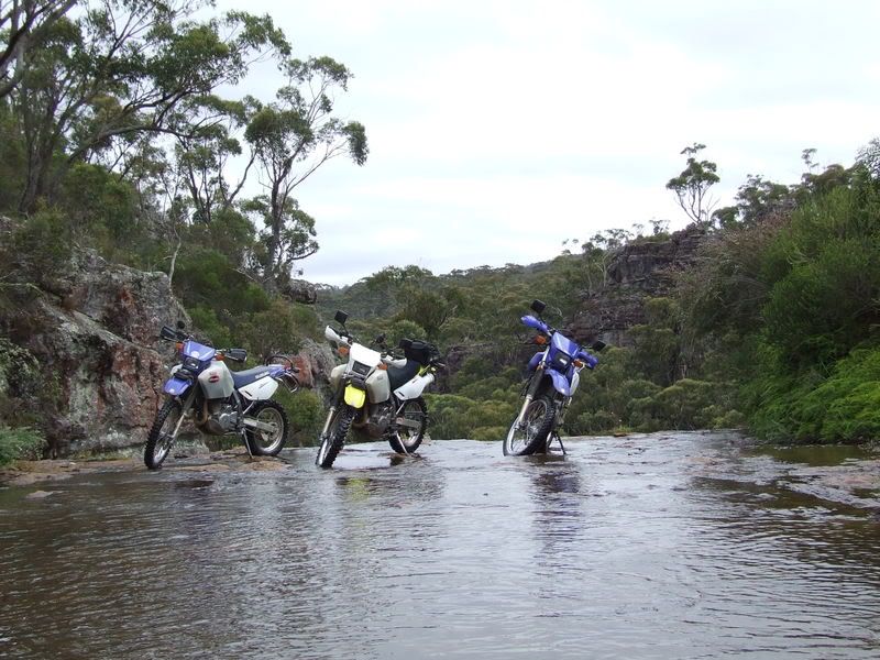 DSCF6411.jpg