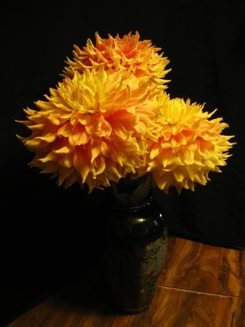 05 43 AA SC LtBl Y/O