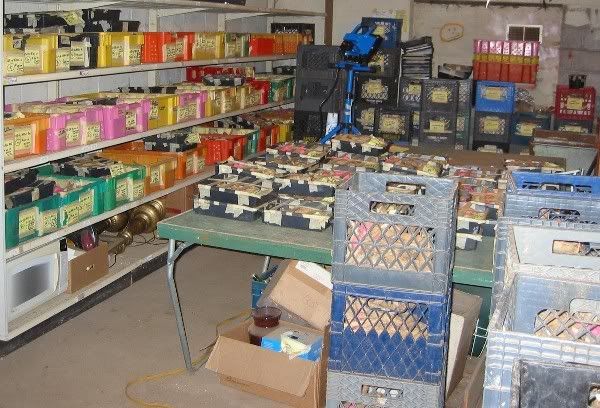 Tuber crates in cold room3