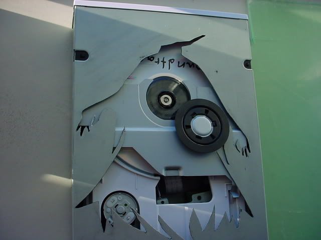 DSC01900.jpg
