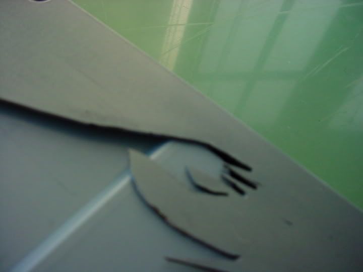 DSC01901.jpg