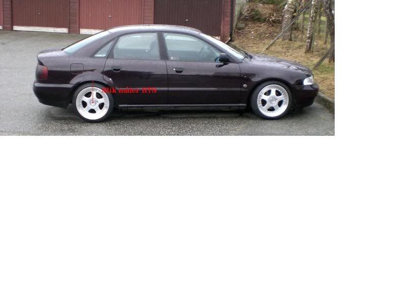 yes1.jpg?t=1173705416