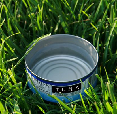 Empty Tuna Can