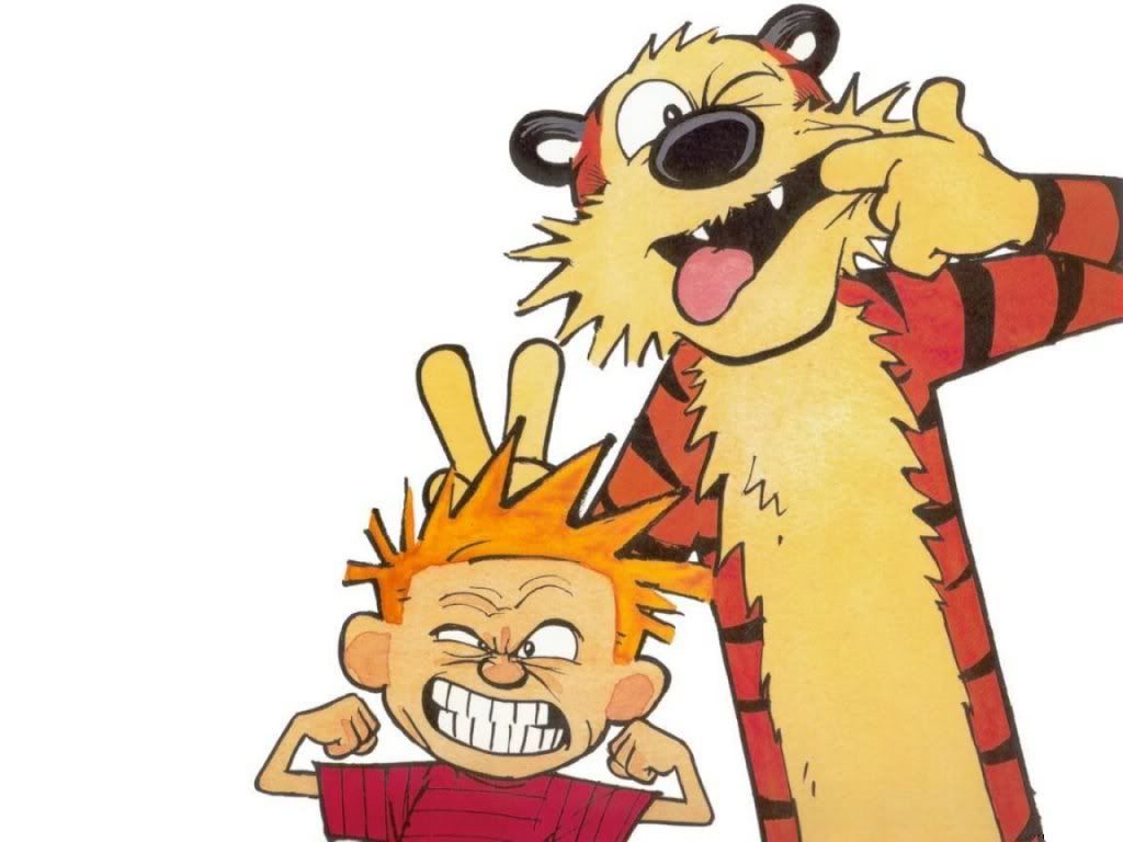 Calvin_and_Hobbes1.jpg