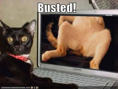 kittyporn.jpg