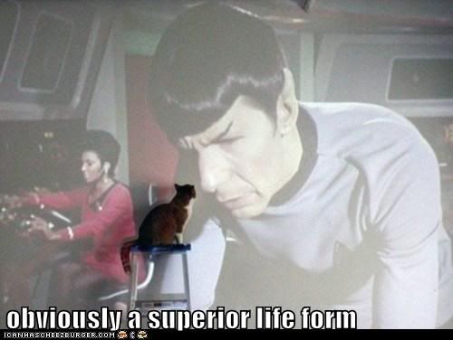 vulcan-meets-cat.jpg