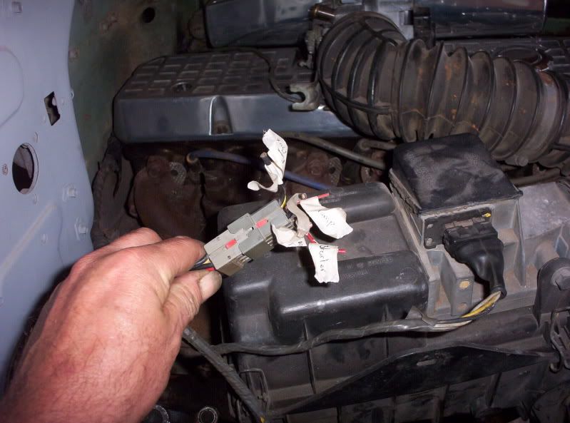 DownUnder4x4 • View topic - left overs the shorty