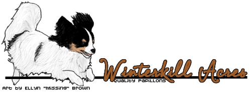 papillonbanner1.png