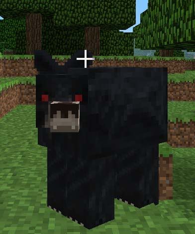 Bear Minecraft