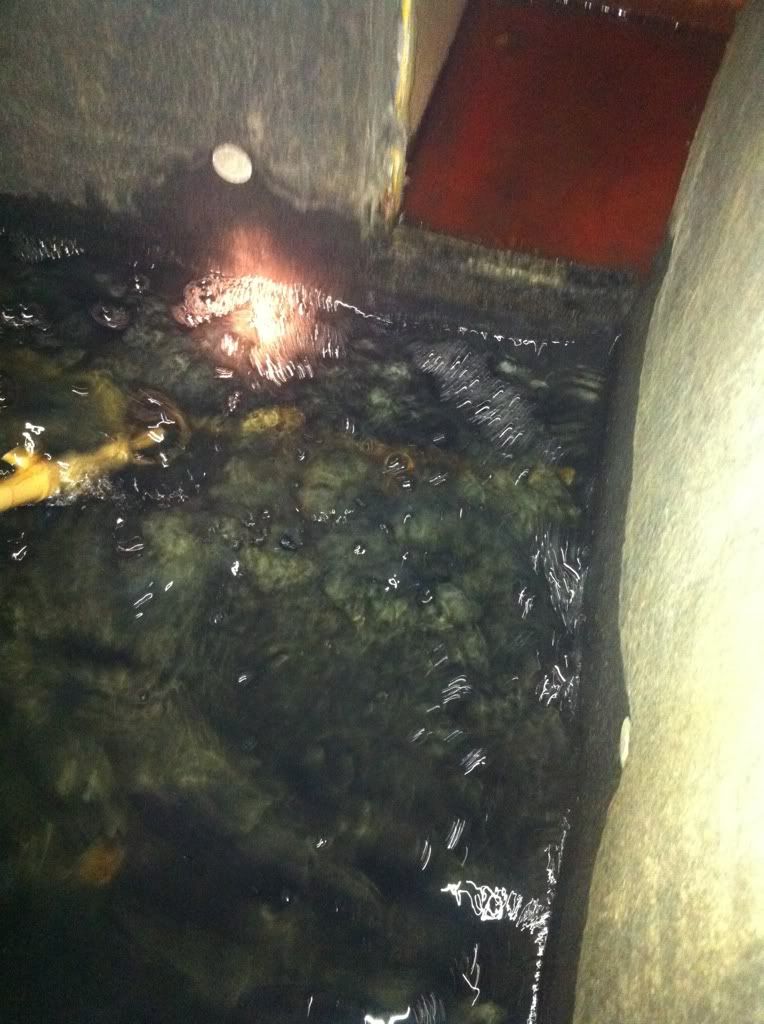 Lots of water leaking out of the central air unit in the basement... Off Topic (Public) Joe