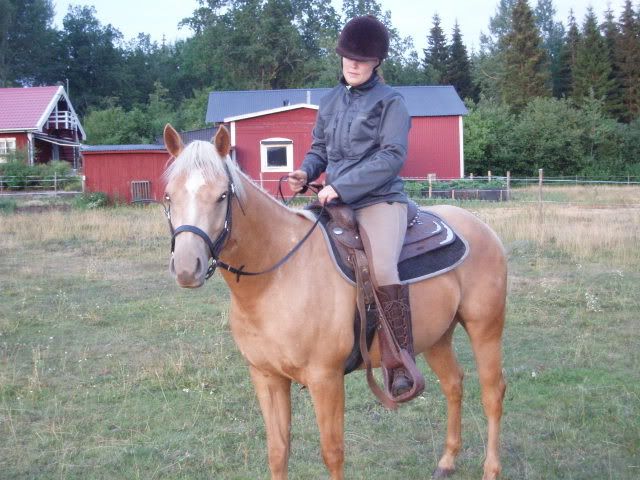 Bild240.jpg
