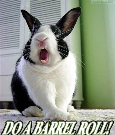 barrel-roll.jpg