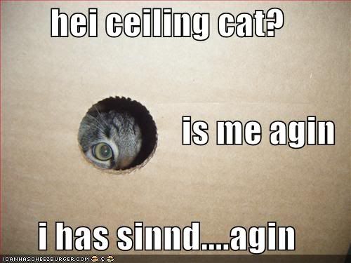 ceiling-cat-confessional.jpg