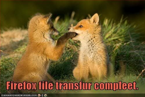 funny-pictures-firefox-file-transfe.jpg