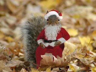 santasquirrelnosig.jpg