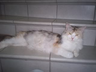Allgemeines069.jpg
