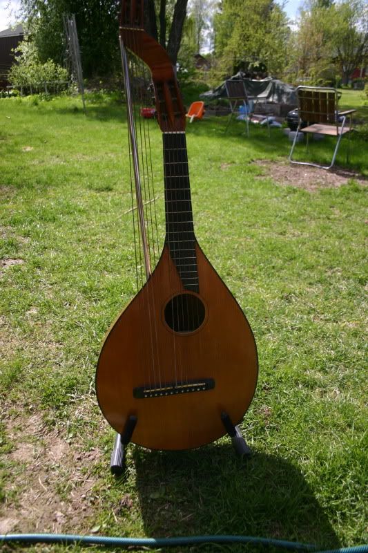 Bild