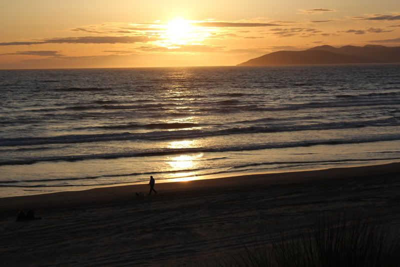 IMAGE: http://i17.photobucket.com/albums/b58/smoking_rubber/Day%201%20at%20the%20Beach/IMG_0238.jpg