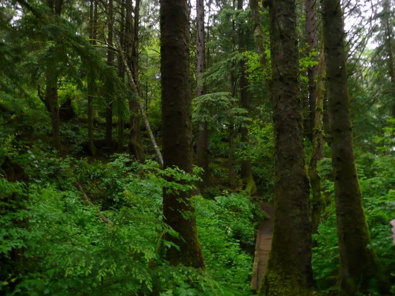 1000 most romantic places in the world — 76. Forks, Washington, USA