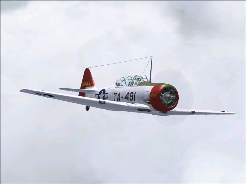 FS9_Texan.jpg