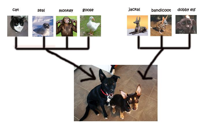 familytree.jpg