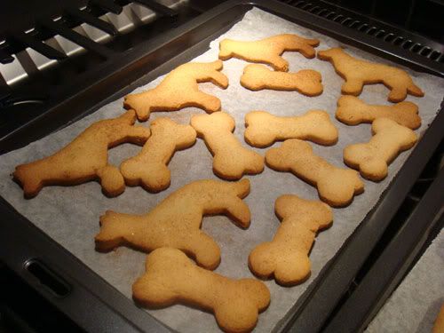 bikkies03.jpg