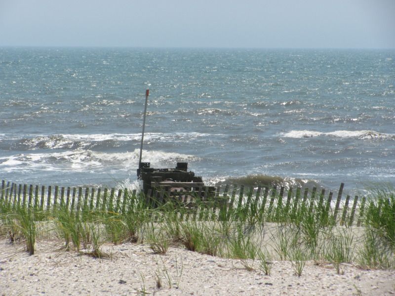 IMG_2601.jpg