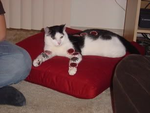 Image hosted by Photobucket.com