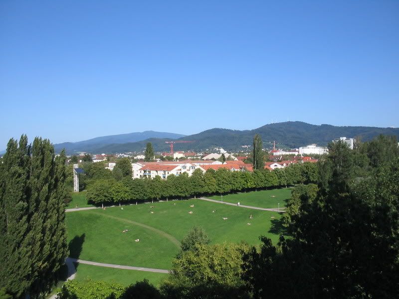 the view from my window