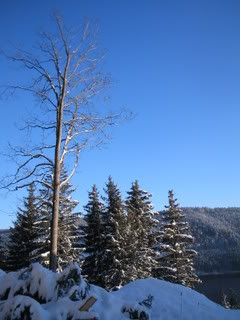 Titisee