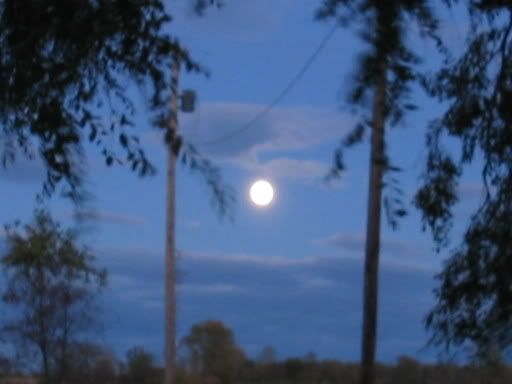 And yellow the moon on the harvest wain