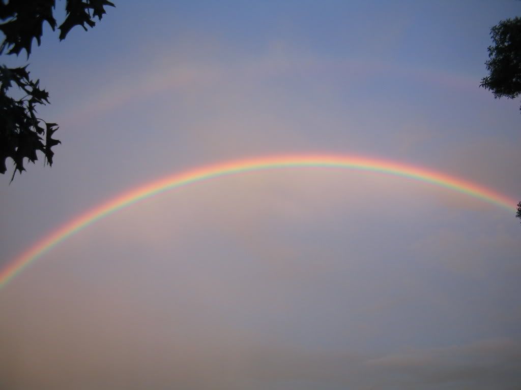 the rainbow